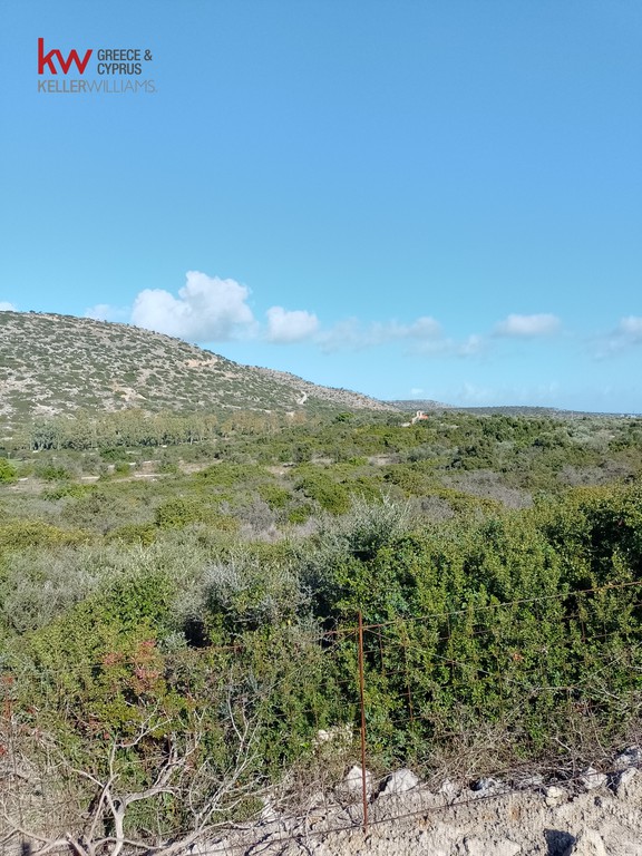 Οικόπεδο 4.025 τ.μ. προς πώληση, Κάτω Μαράθι