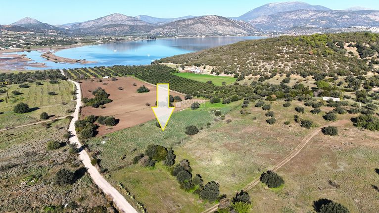 Οικόπεδο 6.093 τ.μ. για πώληση, Αργολίδα, Ερμιόνη