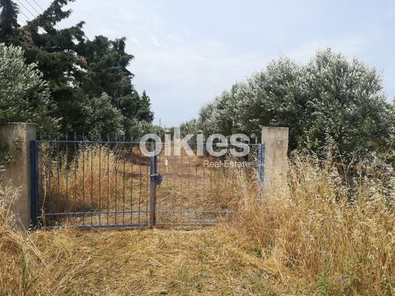 Parcel 2.000 sqm for sale, Thessaloniki - Suburbs, Michaniona