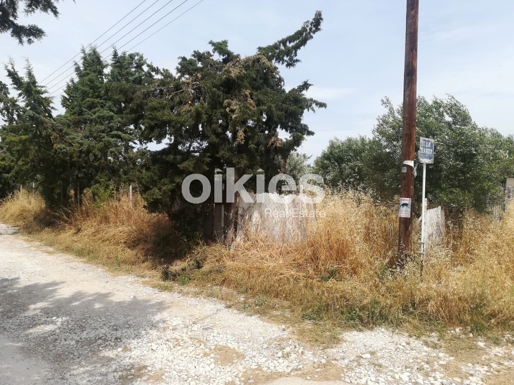 Αγροτεμάχια 2.000 τ.μ. προς πώληση, Νέα Κερασιά