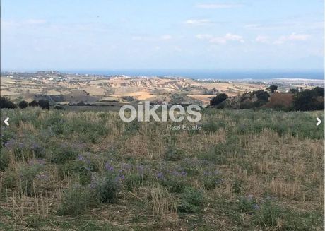 Αγροτεμάχια 5.938τ.μ. για πώληση-Θέρμη » Βασιλικά
