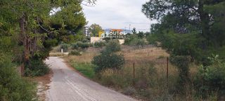 Οικόπεδο 6.012 τ.μ. για πώληση, Αργολίδα, Κρανίδι-thumb-8