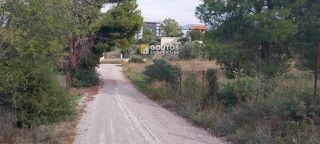 Οικόπεδο 6.012 τ.μ. για πώληση, Αργολίδα, Κρανίδι-thumb-12