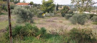 Οικόπεδο 6.012 τ.μ. για πώληση, Αργολίδα, Κρανίδι-thumb-17