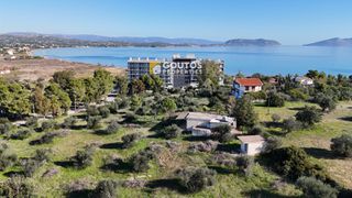 Οικόπεδο 6.012 τ.μ. για πώληση, Αργολίδα, Κρανίδι-thumb-4