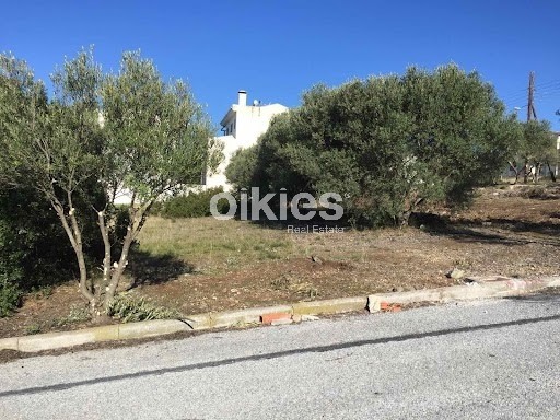 Οικόπεδο 450 τ.μ. προς πώληση, Νέα Ραιδεστός