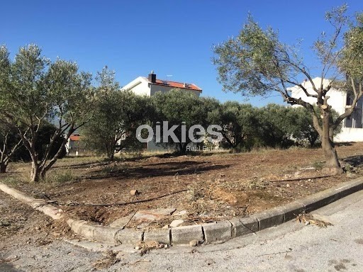 Οικόπεδο 450 τ.μ. προς πώληση, Νέα Ραιδεστός