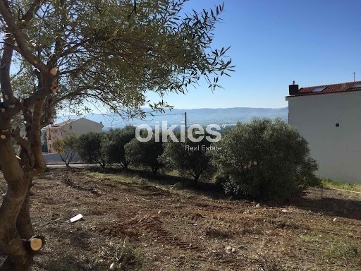 Οικόπεδο 450 τ.μ. προς πώληση, Νέα Ραιδεστός