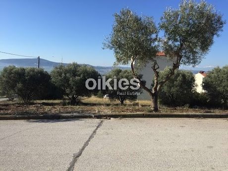 Οικόπεδο 450τ.μ. για πώληση-Θέρμη