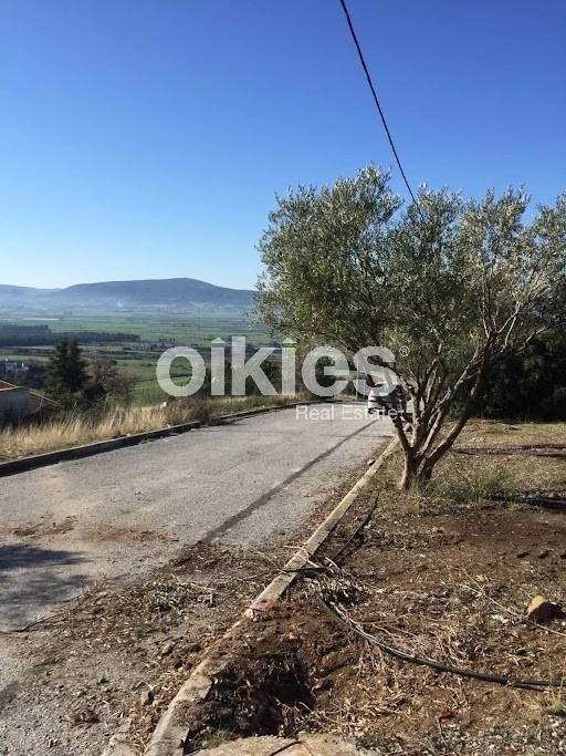 Οικόπεδο 450 τ.μ. προς πώληση, Νέα Ραιδεστός