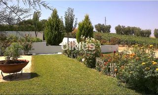 Συγκρότημα διαμερισμάτων 460 τ.μ. προς πώληση, Σανή-thumb-5