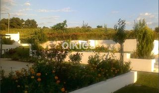 Συγκρότημα διαμερισμάτων 460 τ.μ. προς πώληση, Σανή-thumb-15