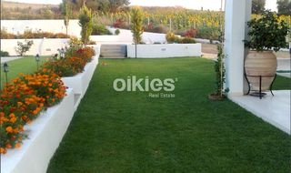 Συγκρότημα διαμερισμάτων 460 τ.μ. προς πώληση, Σανή-thumb-11