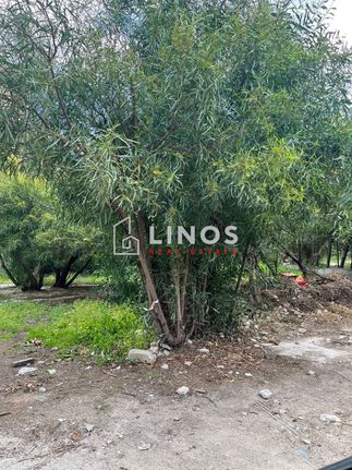 Οικόπεδο 900 τ.μ. για πώληση, Αθήνα - Νότια Προάστια, Βούλα
