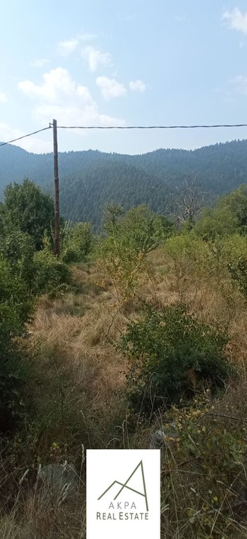 Οικόπεδο 1.727 τ.μ. προς πώληση, Βούτυρο