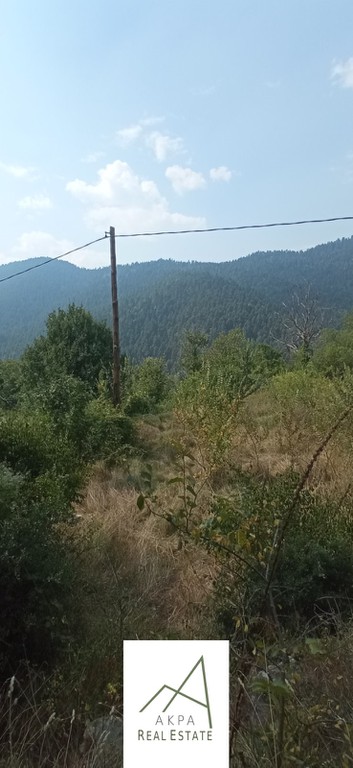 Οικόπεδο 1.727 τ.μ. προς πώληση, Βούτυρο