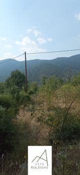 Οικόπεδο 1.727 τ.μ. για πώληση
