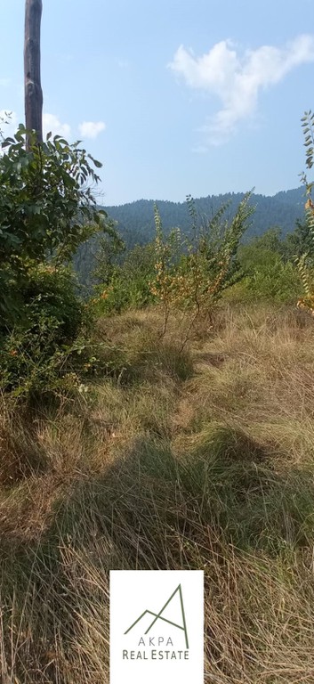 Οικόπεδο 1.727 τ.μ. προς πώληση, Βούτυρο