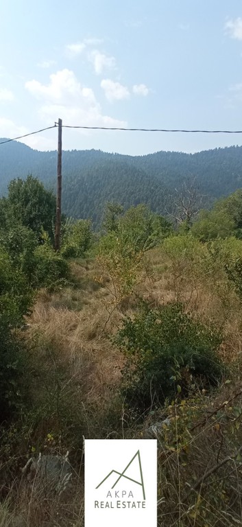 Οικόπεδο 1.727 τ.μ. προς πώληση, Βούτυρο