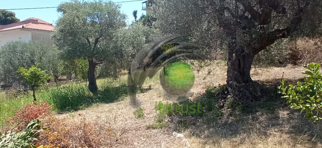 Οικόπεδο 1.200 τ.μ. προς πώληση, Ακράτα