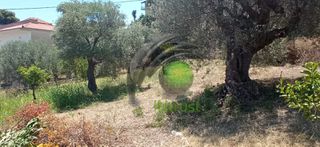 Οικόπεδο 1.200 τ.μ. για πώληση, Αχαΐα, Ακράτα-thumb-1