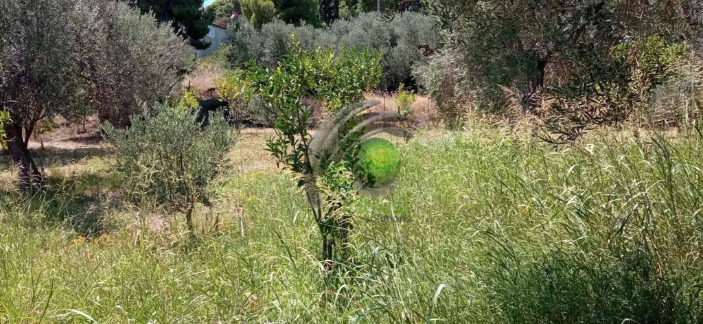 Οικόπεδο 1.200 τ.μ. για πώληση, Αχαΐα, Ακράτα