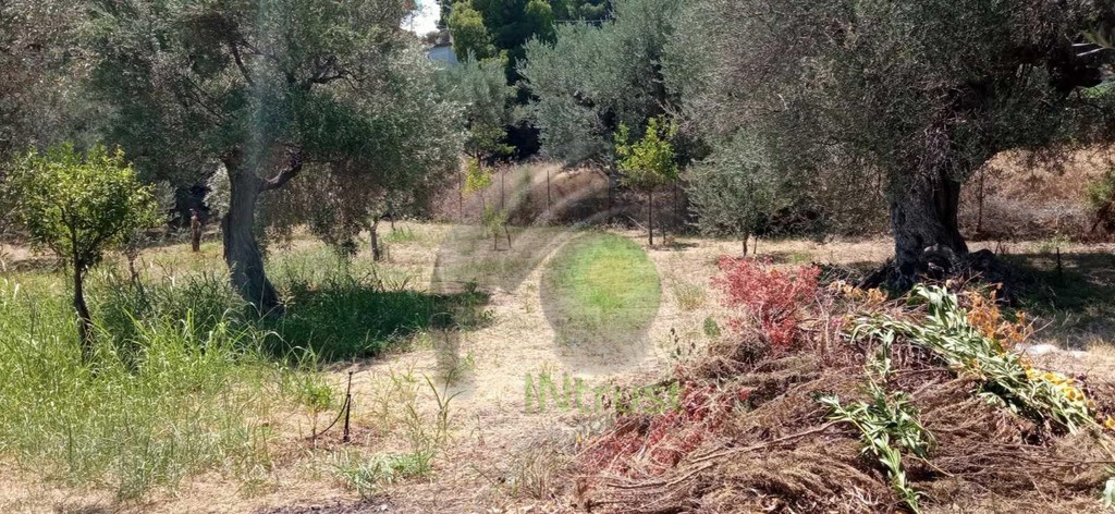 Οικόπεδο 1.200 τ.μ. προς πώληση, Ακράτα