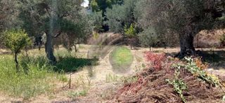 Οικόπεδο 1.200 τ.μ. για πώληση, Αχαΐα, Ακράτα-thumb-3