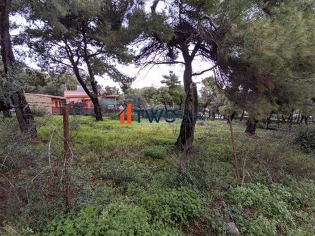 Αγροτεμάχια 616τ.μ. για πώληση-Νέα μάκρη