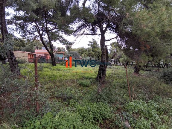 Αγροτεμάχια 616 τ.μ. για πώληση, Αθήνα - Ανατολικά Προάστια, Νέα Μάκρη