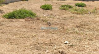 Οικόπεδο 190 τ.μ. για πώληση, Αθήνα - Κέντρο, Κυψέλη-thumb-1