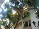 Office 60sqm for rent-Kolonaki - Likavitos