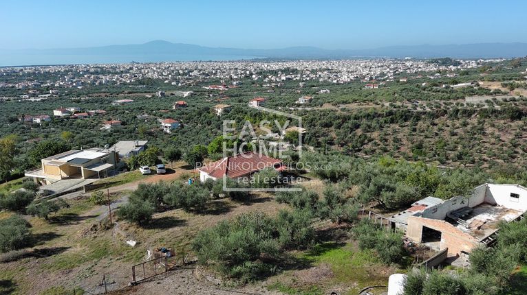 Οικόπεδο 10.050 τ.μ. για πώληση, Μεσσηνία, Καλαμάτα