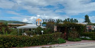 Οικόπεδο 6.250 τ.μ. για πώληση, Ν. Κέρκυρας, Κέρκυρα-thumb-12