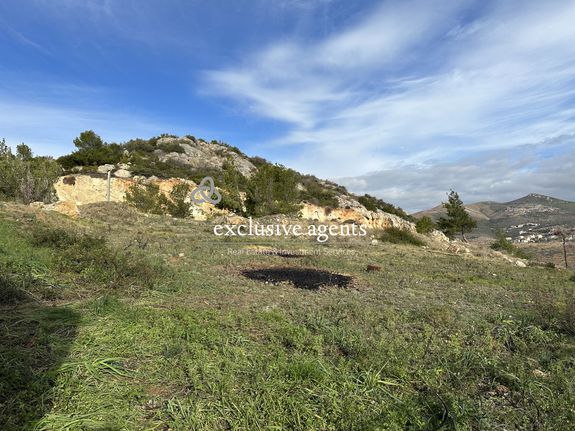 Land plot 1.446 sqm for sale, Rest Of Attica, Pikermi