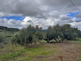 Οικόπεδο 2.600 τ.μ. για πώληση, Ν. Χανίων, Πλατανιάς-thumb-1