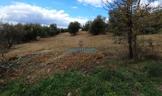 Οικόπεδο 4.047 τ.μ. για πώληση, Αχαΐα, Ρίο-thumb-5