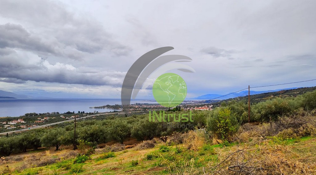 Οικόπεδο 926 τ.μ. προς πώληση, Βερίνο