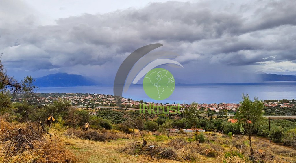 Οικόπεδο 926 τ.μ. προς πώληση, Βερίνο