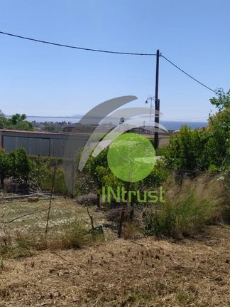 Οικόπεδο 1.300 τ.μ. για πώληση, Αχαΐα, Παραλία