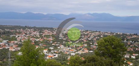 Οικόπεδο 3.600τ.μ. για πώληση-Διακοπτό