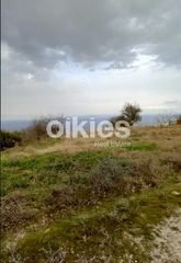 Οικόπεδο 1.000 τ.μ. για πώληση