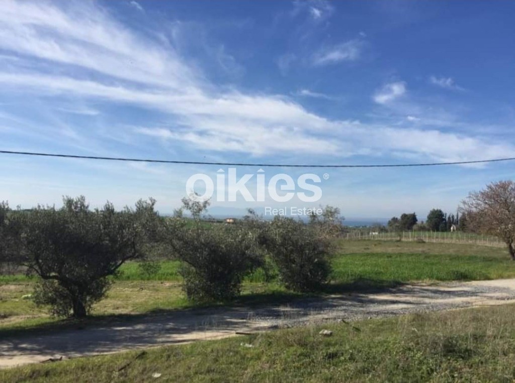 Αγροτεμάχια 4.000 τ.μ. προς πώληση, Κέντρο Επανομής