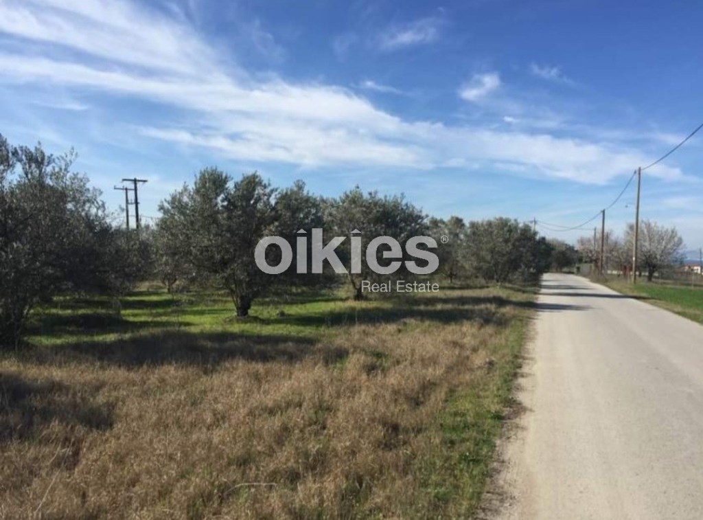 Αγροτεμάχια 4.000 τ.μ. προς πώληση, Κέντρο Επανομής