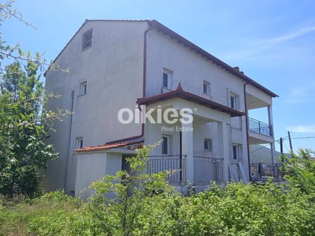 Μονοκατοικία 305τ.μ. για πώληση-Ελευθερούπολη