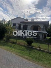 Μονοκατοικία 260 τ.μ. για πώληση, Ημαθία, Αλεξάνδρεια-thumb-11
