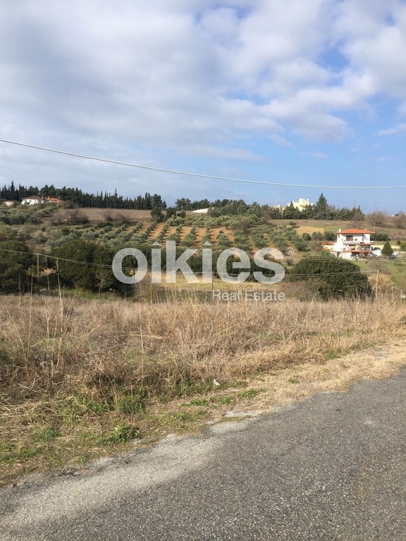 Οικόπεδο 825 τ.μ. προς πώληση, Άνω Σχολάρι