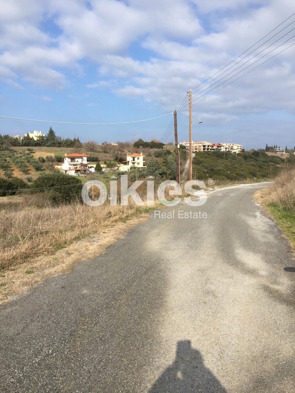 Οικόπεδο 825 τ.μ. προς πώληση, Άνω Σχολάρι