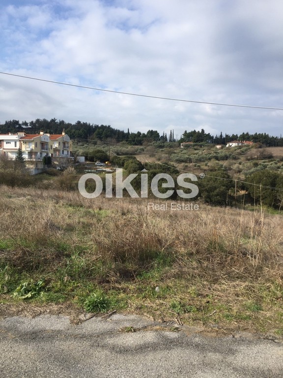 Οικόπεδο 825 τ.μ. προς πώληση, Άνω Σχολάρι