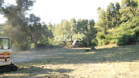 Αγροτεμάχια 3.025τ.μ. για πώληση-Κασσάνδρα